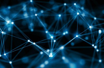 小狐狸钱包盲盒的惊喜之旅